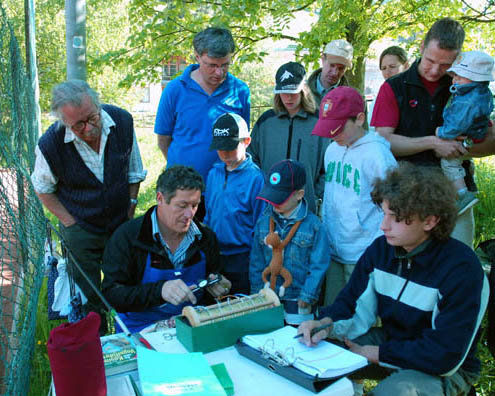 Vogelberingung im Grödner Raum Vogelberingung im Grödner Raum