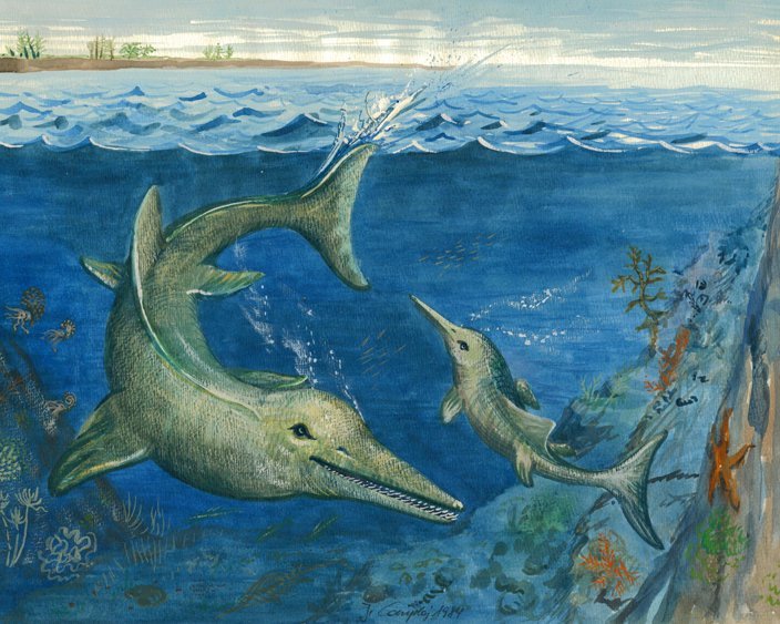 Recostruzion fata da Johann Comploj dò la nrescides scientifiches de Marco Avanzini Recostruzion fata da Johann Comploj dò la nrescides scientifiches de Marco Avanzini