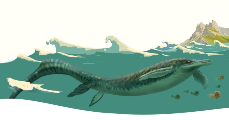 Dessëni dancà, Sara Welponer Dessëni dancà, Sara Welponer