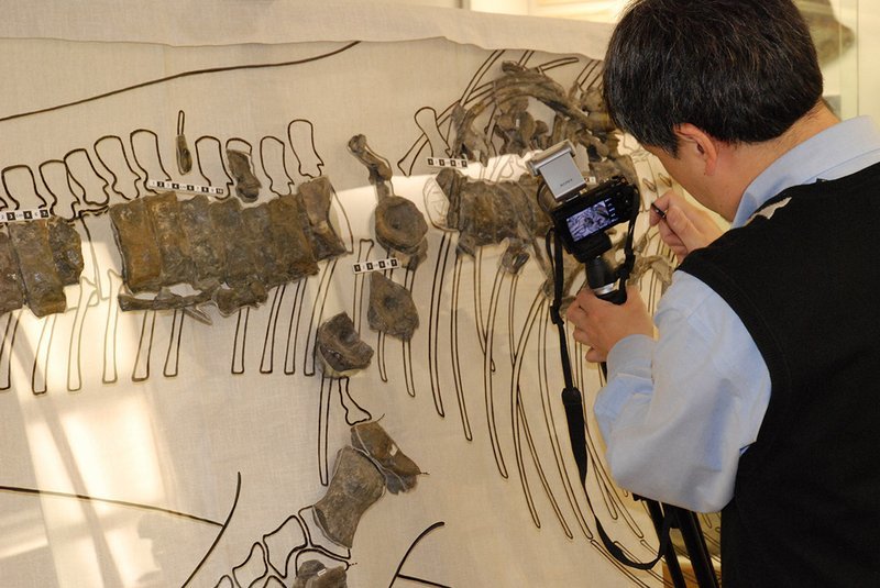 Pruf. Motani Pruf. Motani